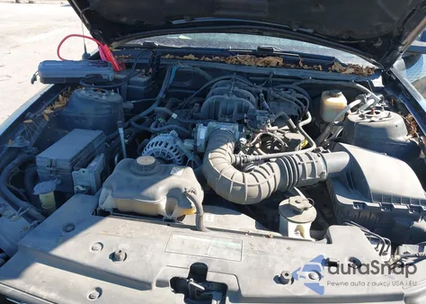 2008 Ford Mustang V6 Deluxe/V6 Premium z USA, uszkodzony, nr VIN 1ZVHT80NX85164937